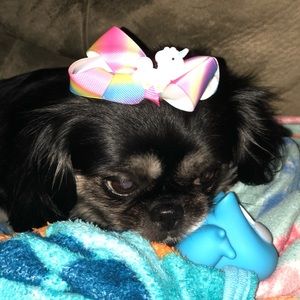 Meet your Posher, Jesenia